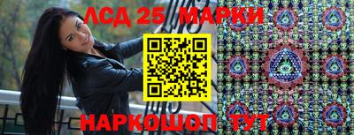 сатива Камышлов