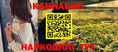 сатива Камышлов