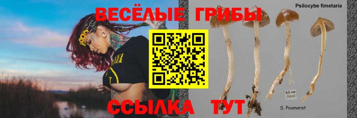 Клинцы  Галлюциногенные грибы мухоморы  Вход с VPN 